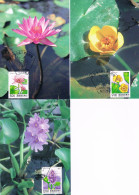 Formose (Taiwan) - Plantes Aquatiques CM 2047/2049 (année 1993) - Other & Unclassified