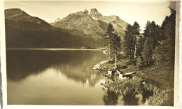 Sils Im Engadin, Halbinsel Chaste, Blick Auf Piz Della Margna - Sils Im Engadin/Segl