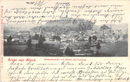 Gruss Aus Bitsch - Bitsch Mit Festung Gel.1914  - Lothringen