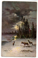 Illustrateur  Muller --1908---Biches Au Crépuscule  à L'orée De La Forêt - Other & Unclassified