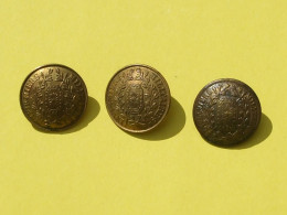 @ 3 Boutons INFIRMIERS MILITAIRES (1875-1914). France. 22 Et 23 Mms. @ - Buttons