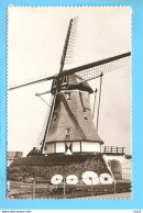 Deurne Zeilberg Molen RY56574 - Deurne