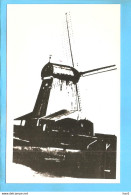 Franeker Molen De Gideon Repro/foto ML1717 - Franeker