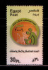 EGYPT / 2006 / General Census Of Population, Housing And Territory / MNH / VF . - Nuevos