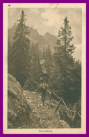 * ERLENBACH - MIESCHFLUH - MIESCHFLUE - Porteur - Alpiniste - Escalade - Photo EYMANN - 1917 - Erlenbach Im Simmental