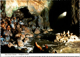 Oregon Coast Sea Lion Caves Interior Year-Round Home Of Steller Sea Lions Near Florence - Altri & Non Classificati