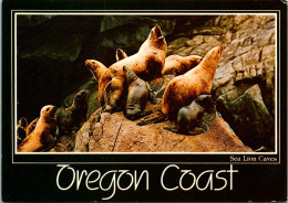 Oregon Coast Sea Lion Caves Interior Year-Round Home Of Steller Sea Lions Near Florence - Altri & Non Classificati