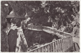 3431  Zermatt, Gornerschlucht - (Schweiz/Suisse/Switzerland) - Saint-Luc