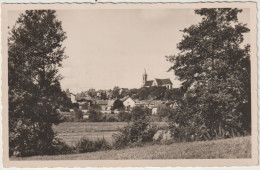 Haut Rhin : ALTKIRCH : Vue Sur La  Ville  1953 - Altkirch