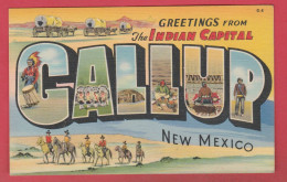 Greetings From The Indian Capital / Callup- New Mexico (voir Verso ) - América