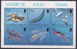 Antarctique Britannique 0255/60 Chaine Alimentaire, Poulpe Calamar, Krill, Baleine, Phoque, Poisson, Oiseau - Faune Antarctique