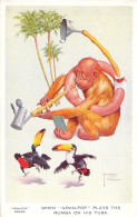 ILLUSTRATEUR - Wood Lawson - Plays The Rumba On His Tuba - Singes - Carte Postale Ancienne - Wood, Lawson