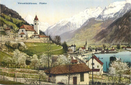 Switzerland Vierwaldstattersee Fluelen - Wald