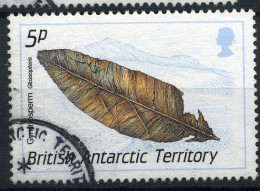 BAT Y&T 180° Glossopteris - Used Stamps