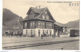 BRUNNADERN: Bahnhof Animiert Mit Kutschen ~1910 - Brunnadern