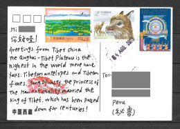 China Tibet Postcard With Antelope Stamp Sent To Peru - Brieven En Documenten