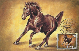 Jugoslavia 1998, Cartolina Maximum Cavalli, Il Val. Da 1,50, Bella - Briefe U. Dokumente