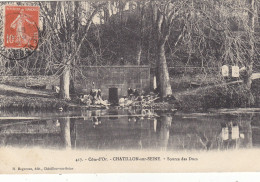 21 - CHATILLON Sur SEINE : Source - Lavandières. - Chatillon Sur Seine