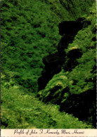 Hawaii Maui Black Gorge In Iao Valley John F Kennedy Profile - Maui