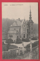 Lobbes  Le Château De Mr Duquesne ( Voir Verso ) - Lobbes