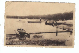 Het Heuvelland    Zwembad   Bassin De Natation 1954 - Dilsen-Stokkem