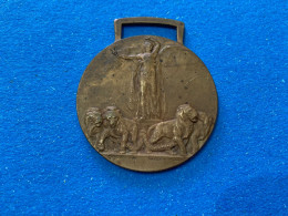 WW1 MEDAGLIA INTERALLEATA VICTORY MEDAL ITALY GRANDE GUERRA 1915/18. - Non Classés