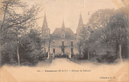 Chemillé     49      Château De Salboeuf   -déchirure .           (voir Scan) - Chemille