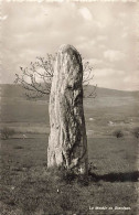 Le Menhir De Grandson Fiez Celtes - Fiez