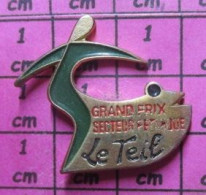 818A Pin's Pins / Beau Et Rare / SPORTS / PETANQUE GRAND PRIX SECTEUR PETANQUE LE TEIL - Boule/Pétanque