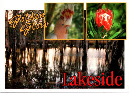 4-9-2023 (4 T 13) Australia -  Country Lakeside (bird / Flower Etc) - Autres & Non Classés