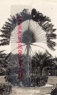 ASIE- MALAISIE - MALAYSIA- TRAVELING TREE MALAYA- PALMIER   CARTE PHOTO - Malaysia