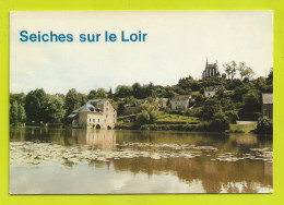 49 SEICHES SUR LE LOIR Bord Du Loir à MATHEFLON VOIR DOS Et Flamme En 1989 - Seiches Sur Le Loir