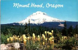 Oregon Mount Hood As Viewed In The Spring - Altri & Non Classificati