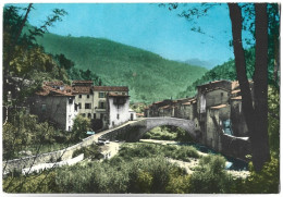L'ESCARENE - Le Village Et Le Pont Sur Le Paillon - L'Escarène
