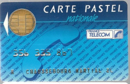 1-CARTE PUCE-BULL D-FRANCE TELECOM-PASTEL-NATIONALE- V° En Bas France Telecom BP840 75828-TBE - Pastel Cards