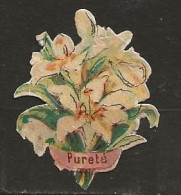 Découpis Fleursr Pureté Année 1899 A 1900 - Children