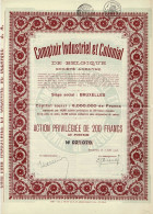 Titre De 1926 - Comptoir Industriel Et Colonial De Belgique - - Africa