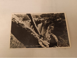 ANTIQUE POSTCARD RHODESIA ZIMBABWE - WILD LIFE VICTORIA FALLS UNUSED - Zimbabwe