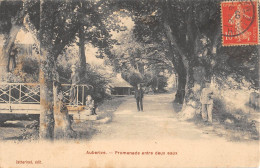 CPA 52 AUBERIVE / PROMENADE DES DEUX EAUX - Auberive