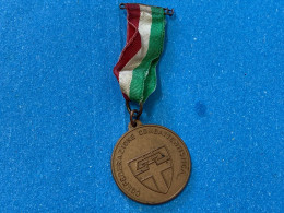 MEDAGLIA CONFEDERAZIONE COMBATTENTISTICA PER LA PACE E DISARMO TORINO 1981. - Non Classés