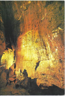  WOOKEY HOLE, WELLS, SOMERSET, ENGLAND. UNUSED POSTCARD   Zf2 - Wells