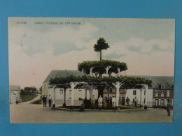 Macon Arbre Célèbre Du XVe Siècle - Momignies