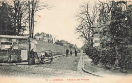 92 - CHATENAY _S21301_ Chemin Des Princes - Chatenay Malabry