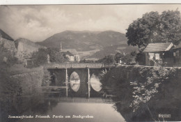 D4306) Sommerfrische FRIESACH - Partie Am Stadtgraben - Kirche Häuser ALT ! Brücke 1934 - Friesach