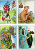 Czech Republic - 2023 - Nature Protection - Podyji National Park - Set Of 4 Maximum Cards With Holograms - Covers & Documents