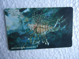 KOREA   USED CARDS  FISHES MARINE LIFE  FISHES - Fish