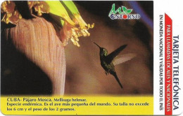 Cuba - Etecsa (Urmet) - Bird Pajaro Mosca, 01.2003, 7$P, 75.000ex, Used - Kuba