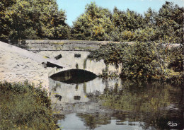 91 - Lardy - Le Pont De L'Hêtre Sur La Juine - Lardy