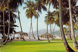 Grenade - Plage De Grande Anse - Grenada