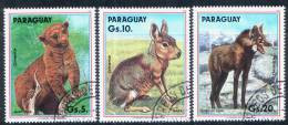 PARAGUAY / ANIMALS / 3 VF USED STAMPS . - Lapins